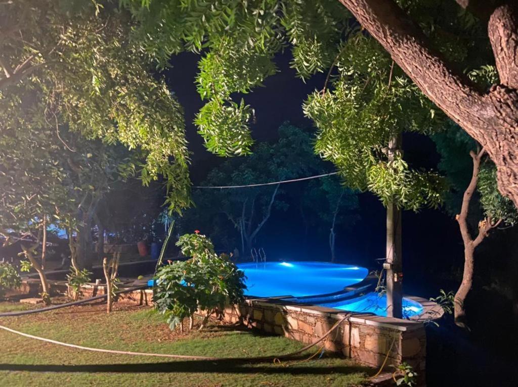 Amaltas Villa Udaipur Kültér fotó